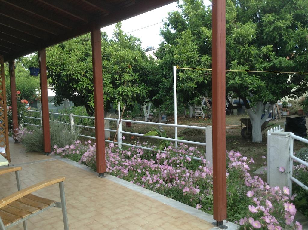 העיירה סקיאתוס Studios Lalu מראה חיצוני תמונה